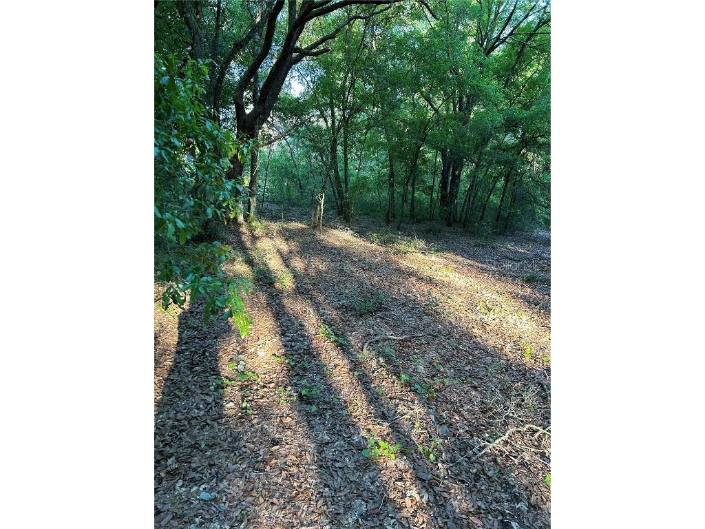 Sw Hwy 484 Dunnellon FL 34432 OM695298 image2