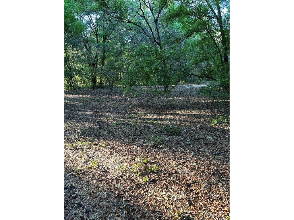 Sw Hwy 484 Dunnellon FL 34432 OM695298 image3