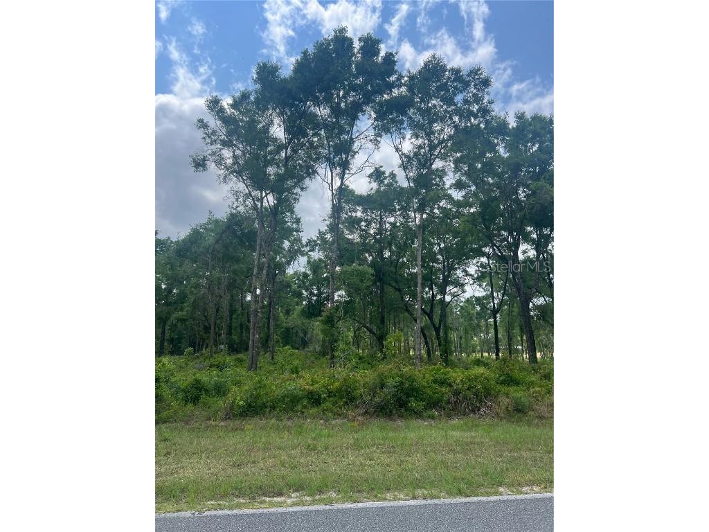 SW Ichetucknee Avenue Lake City FL 32024 GC521888 image1