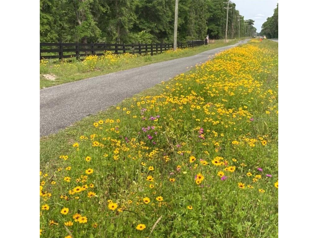 Sw Jordan St Fort White FL 32038 GC532238 image4