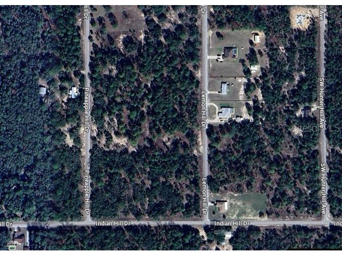 SW Lemon Hill Drive Dunnellon FL 34431 TB8388434 image1