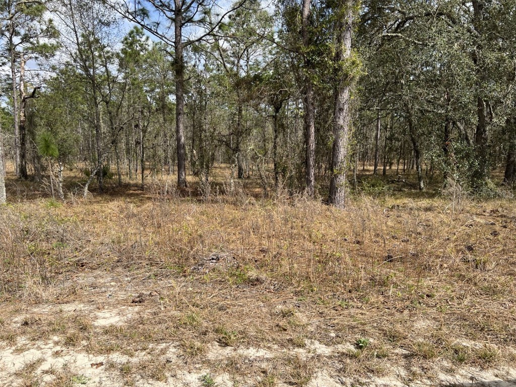 Sw Little Cliffs Dr Dunnellon FL 34431 OM673966 image1
