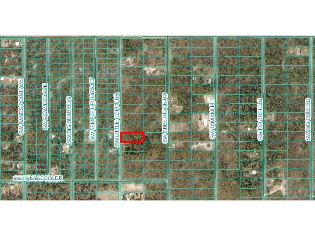 SW Little Cliffs Drive Dunnellon FL 34431 O6296986 image1
