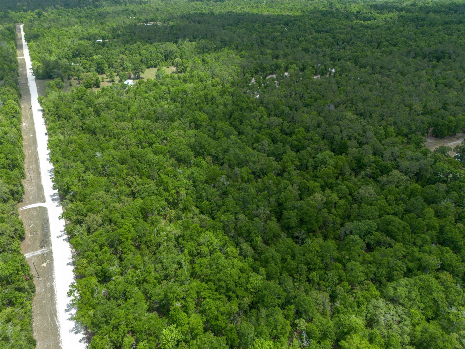 Sw Loncala Loop Fort White FL 32038 GC539875 image14