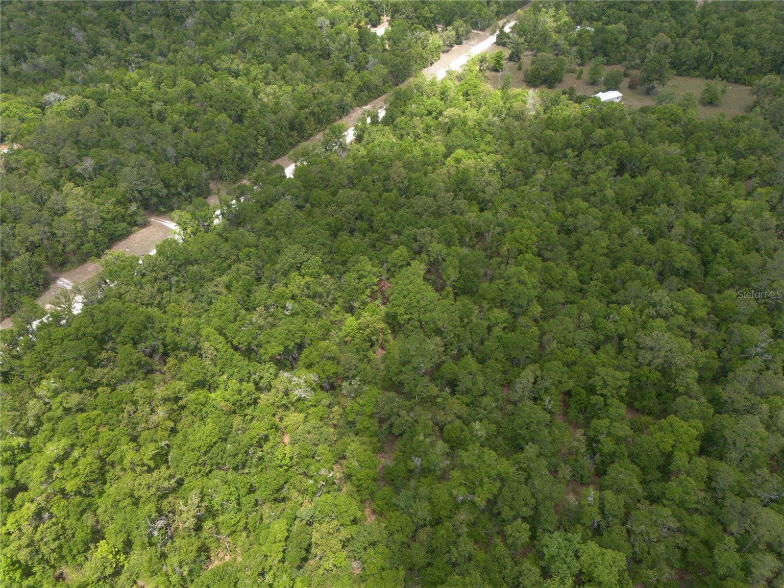 Sw Loncala Loop Fort White FL 32038 GC539875 image16