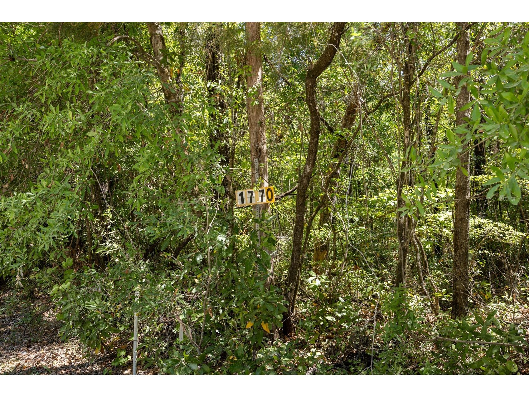 Sw Loncala Loop Fort White FL 32038 GC539875 image3