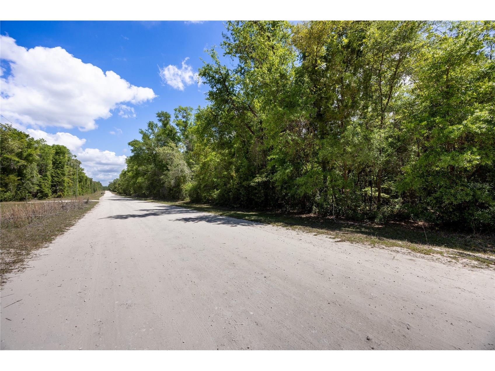 Sw Loncala Loop Fort White FL 32038 GC539875 image4