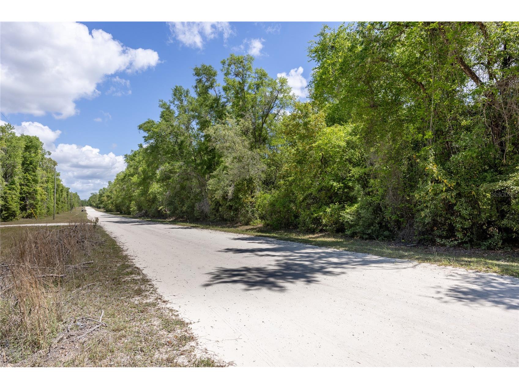 Sw Loncala Loop Fort White FL 32038 GC539875 image5
