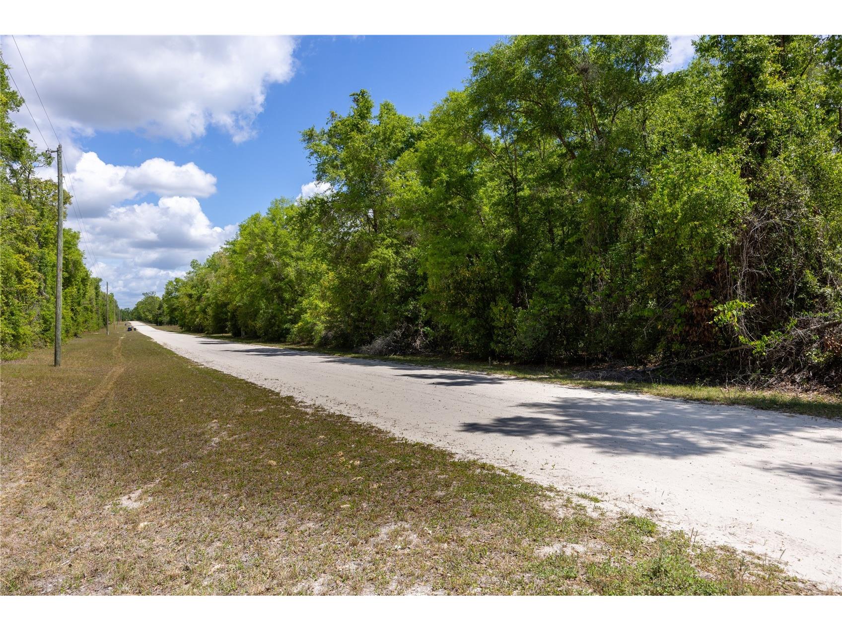 Sw Loncala Loop Fort White FL 32038 GC539875 image6