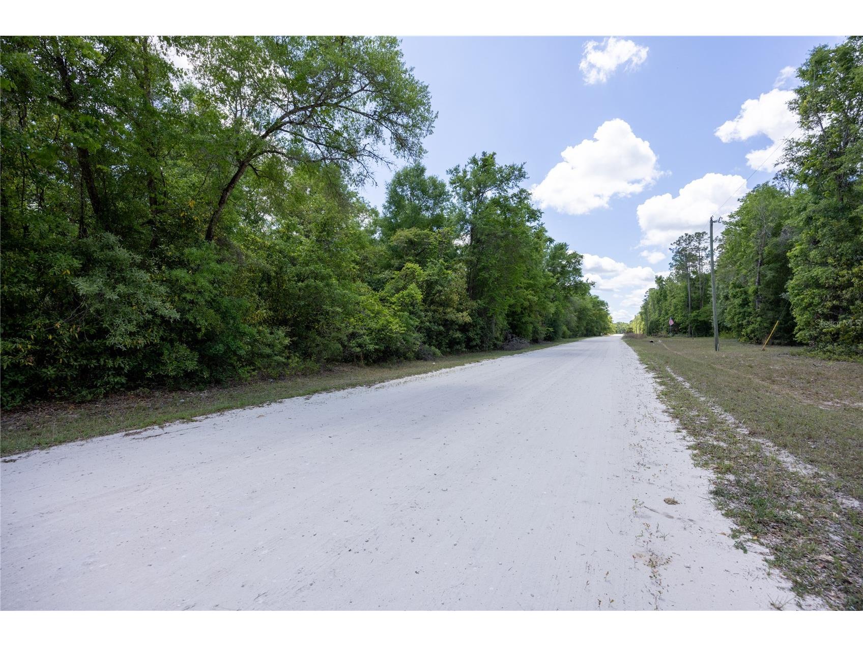 Sw Loncala Loop Fort White FL 32038 GC539875 image7