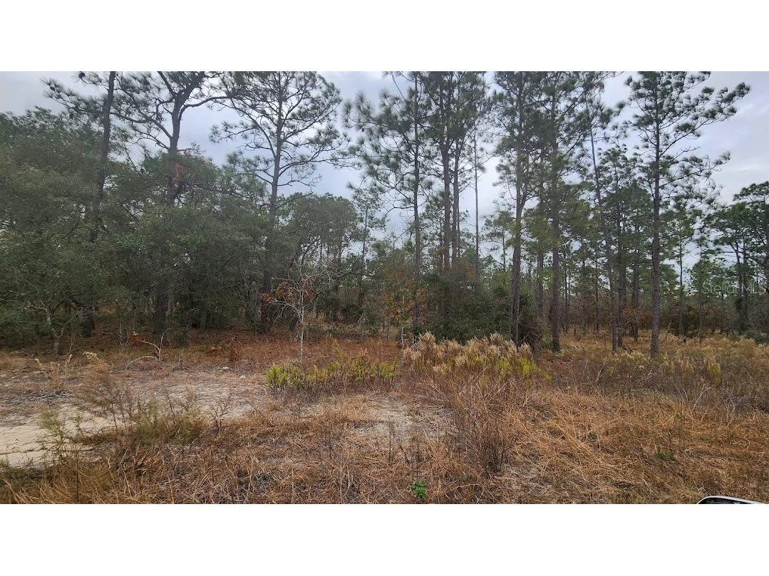 SW Mandrake Drive Dunnellon FL 34431 OM687180 image1