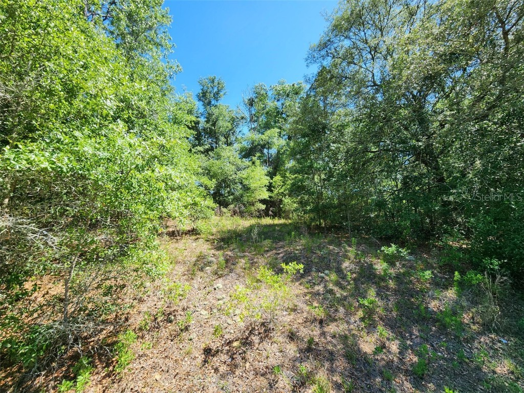 SW Marine Boulevard Dunnellon FL 34431 OM701604 image1