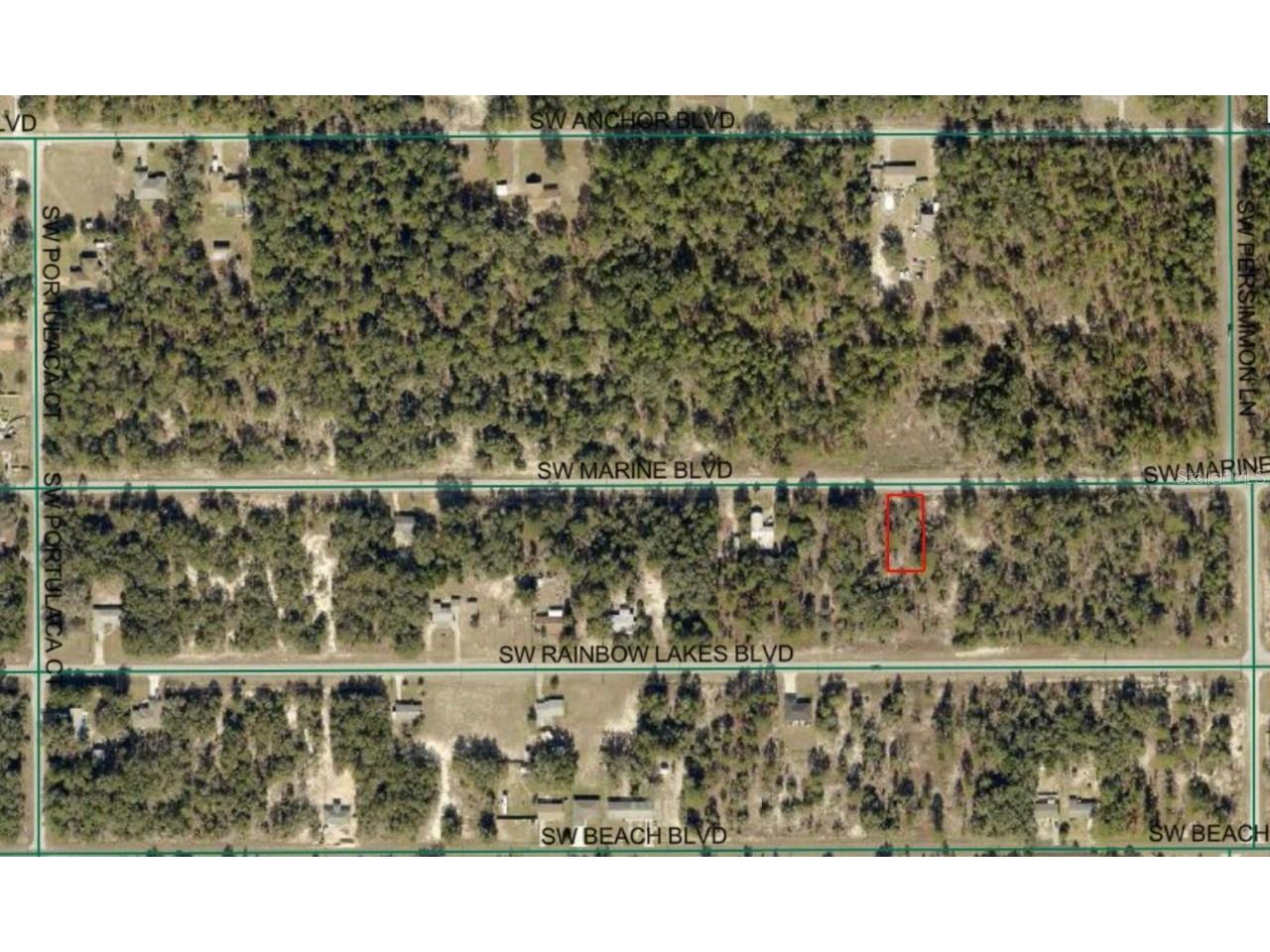 SW Marine Boulevard Dunnellon FL 34431 - RAINBOW RIVER OM710711 image8