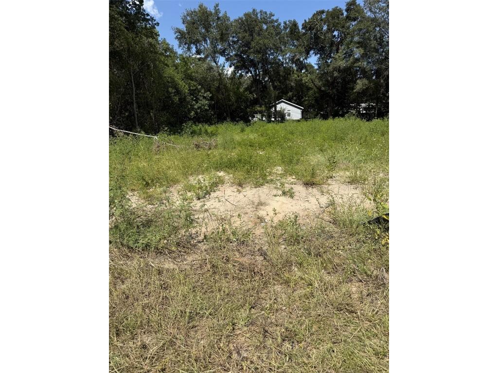 SW Marine Boulevard Dunnellon FL 34431 S5133196 image2