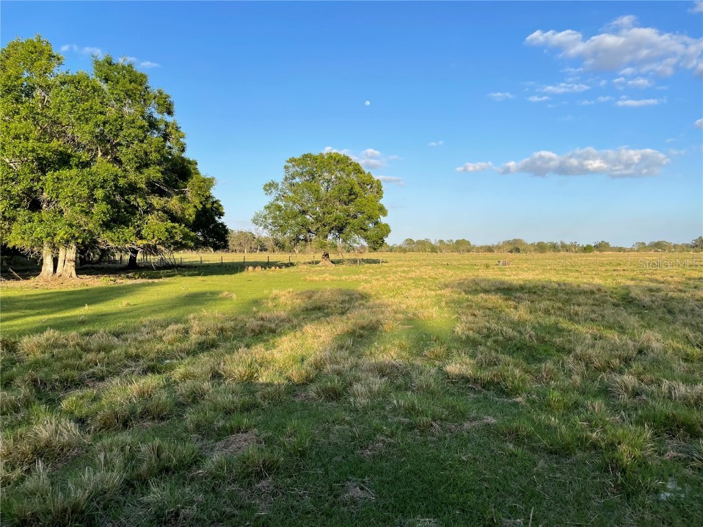 SW Mockingbird Street Arcadia FL 34266 C7472115 image1