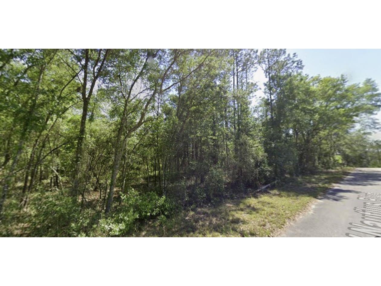 Sw Nautilus Blvd Dunnellon FL 34431 O6392478 image8