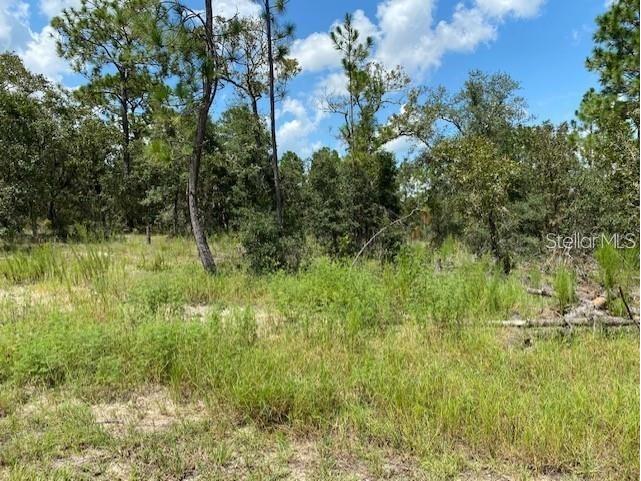 SW Nectarine Lane Dunnellon FL 34431 OM651665 image1