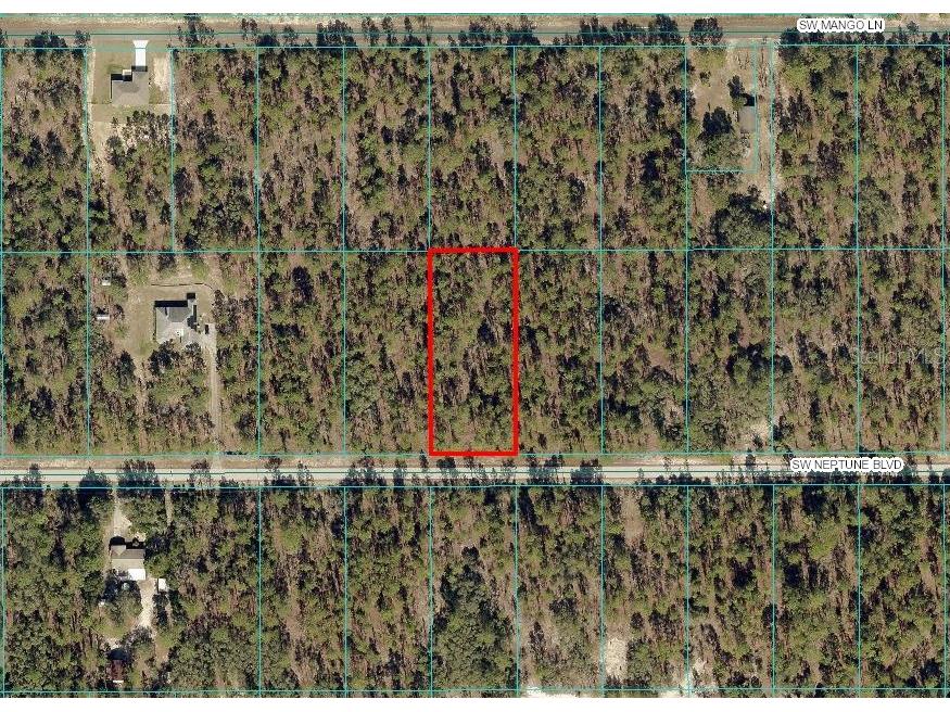 SW Neptune Boulevard Dunnellon FL 34431 - LAKE BONABLE TIGER LAKE TB8304140 image1