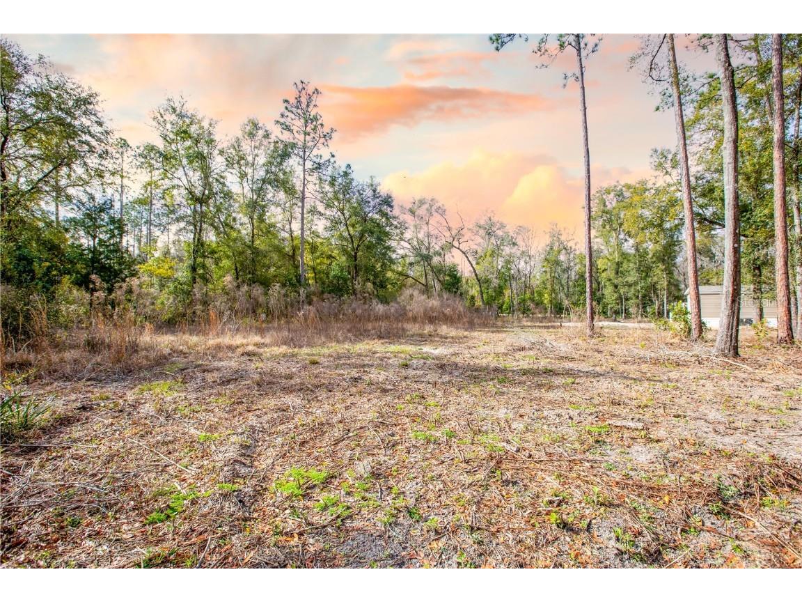 SW Newark Drive Fort White FL 32038 GC519527 image1