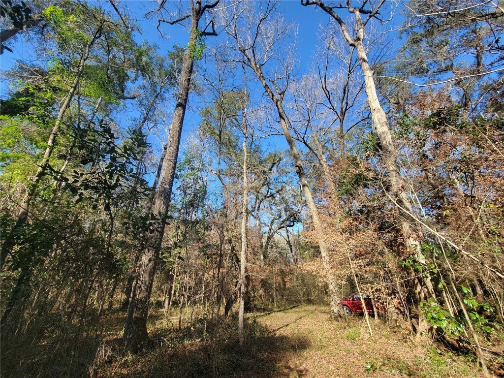 SW Newark Drive Fort White FL 32038 R4908314 image10