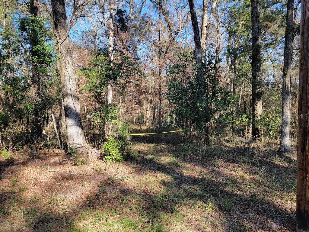 SW Newark Drive Fort White FL 32038 R4908314 image3