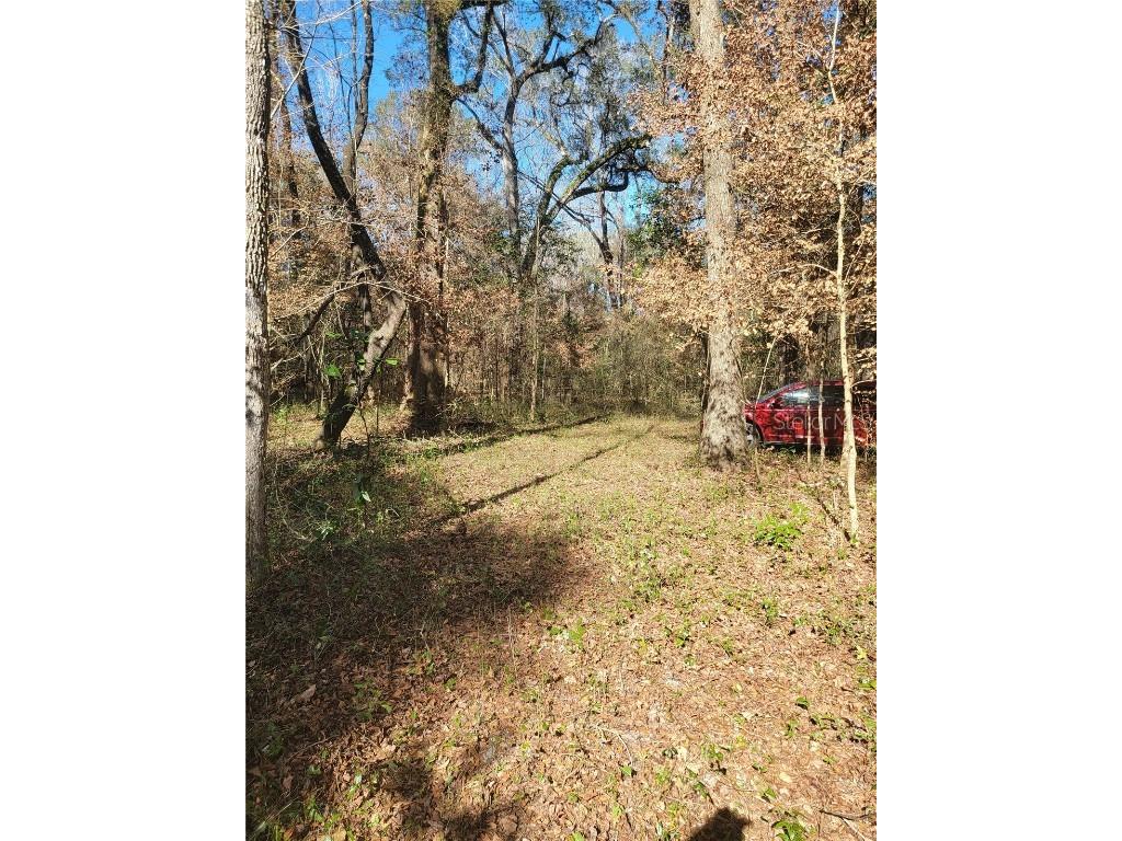 SW Newark Drive Fort White FL 32038 R4908314 image7