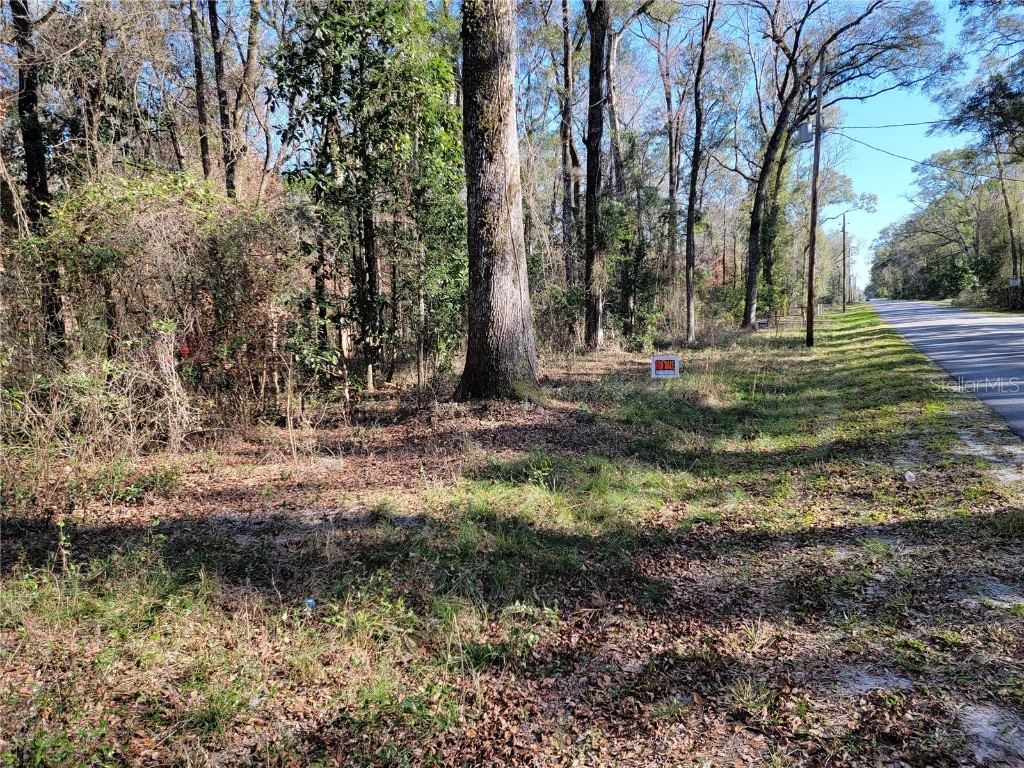 SW Newark Drive Fort White FL 32038 R4908314 image9