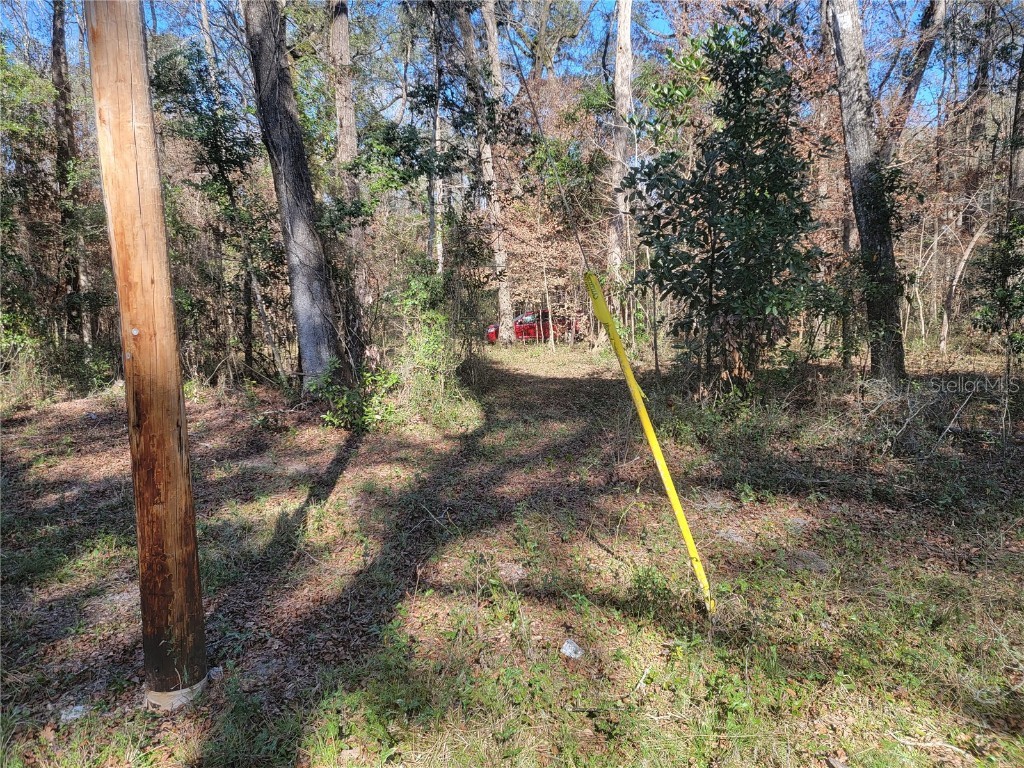 SW Newark Drive Fort White FL 32038 R4908315 image6