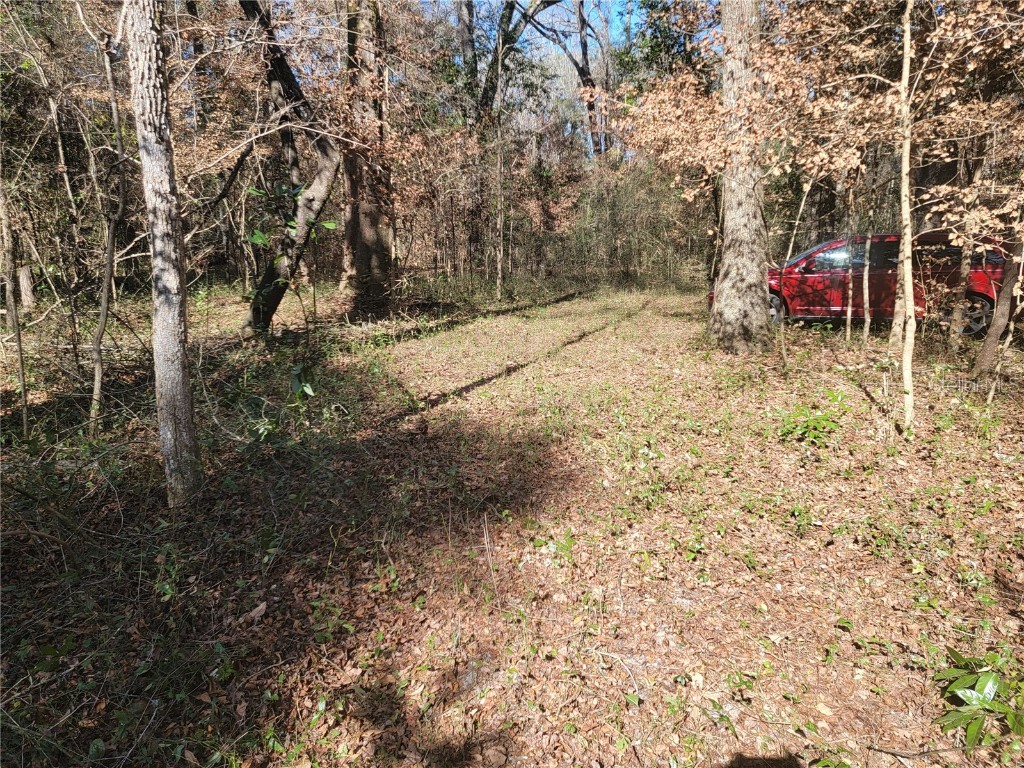 SW Newark Drive Fort White FL 32038 R4908315 image7