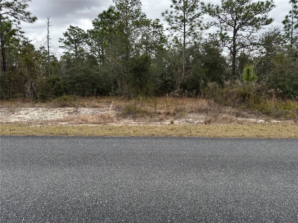 Sw Obee Ridge Rd Dunnellon FL 34431 OM693315 image1