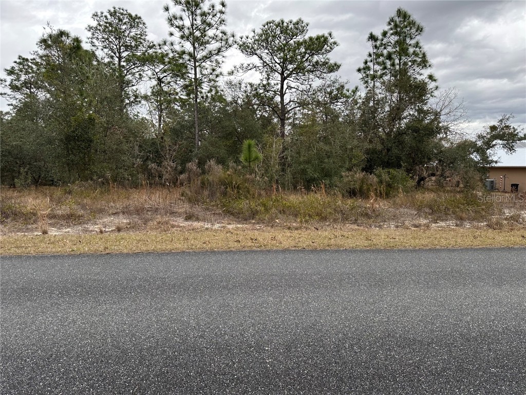 Sw Obee Ridge Rd Dunnellon FL 34431 OM693315 image2