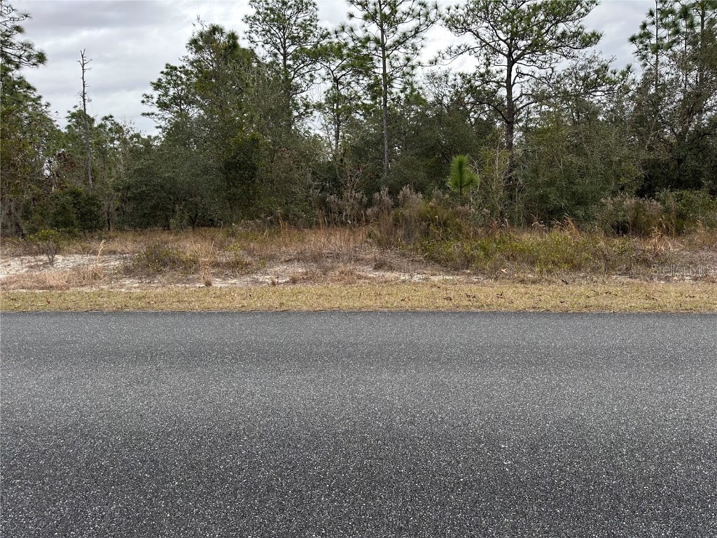 Sw Obee Ridge Rd Dunnellon FL 34431 OM693315 image3