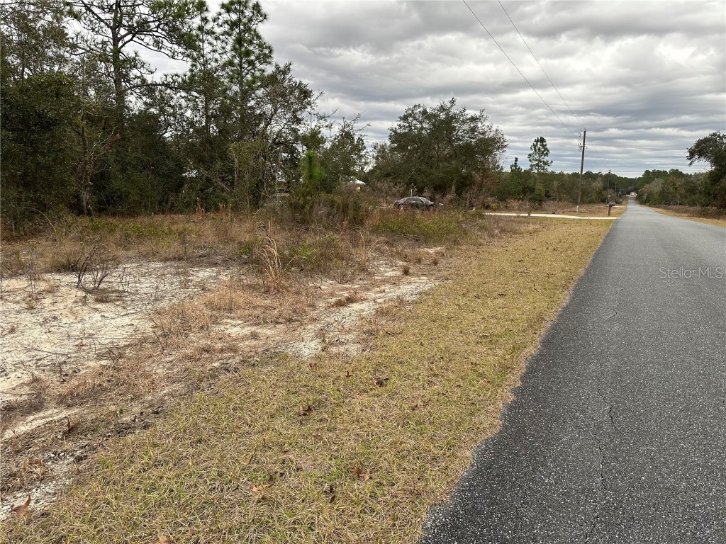 Sw Obee Ridge Rd Dunnellon FL 34431 OM693315 image4
