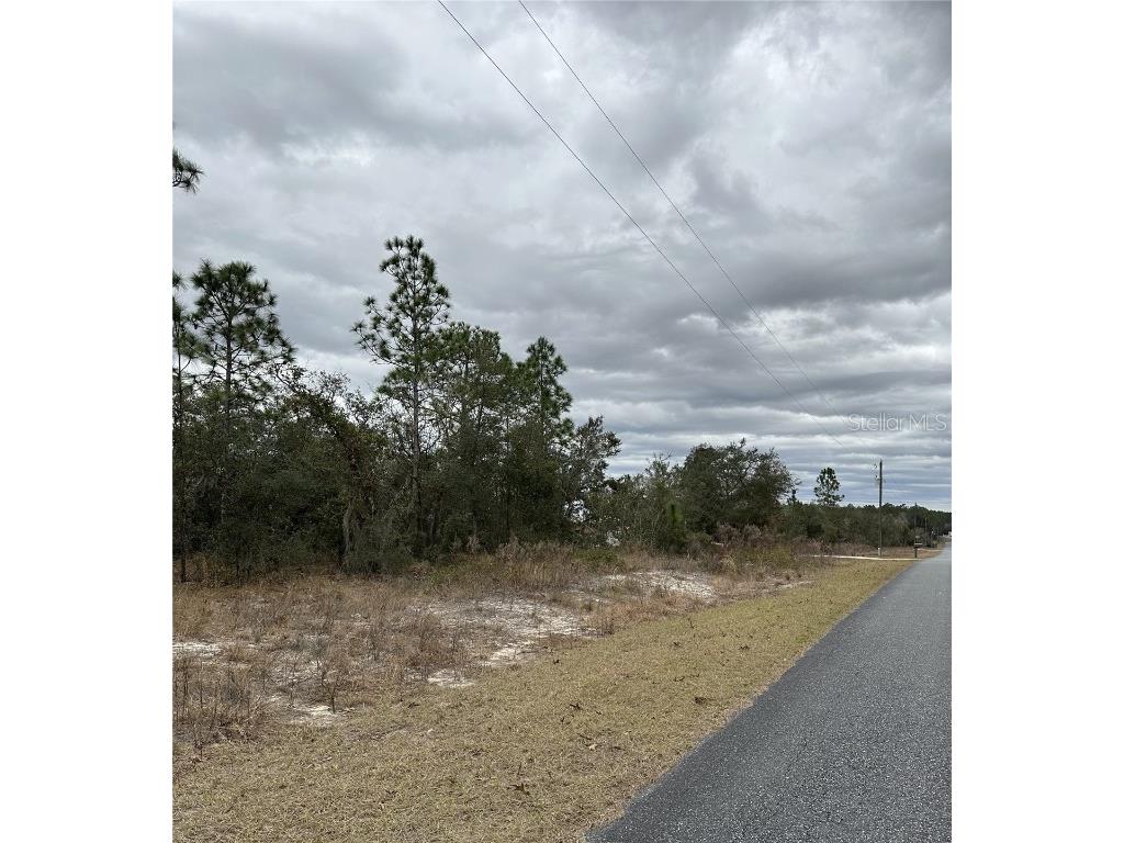 Sw Obee Ridge Rd Dunnellon FL 34431 OM693315 image6