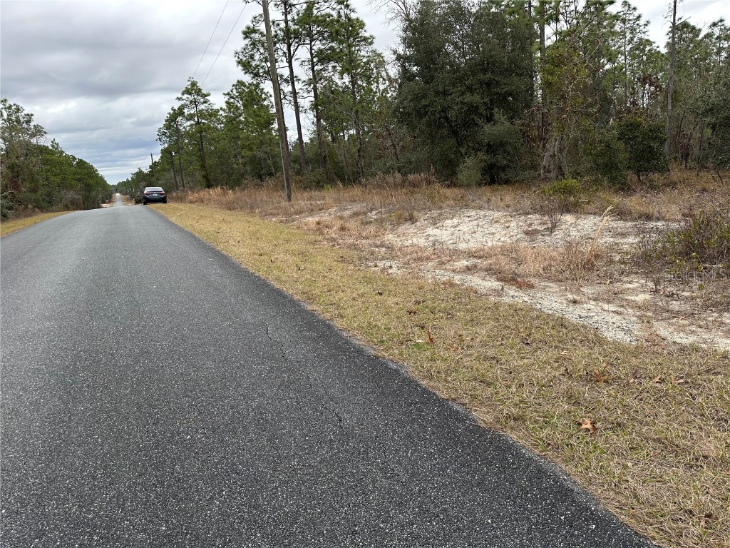 Sw Obee Ridge Rd Dunnellon FL 34431 OM693315 image7