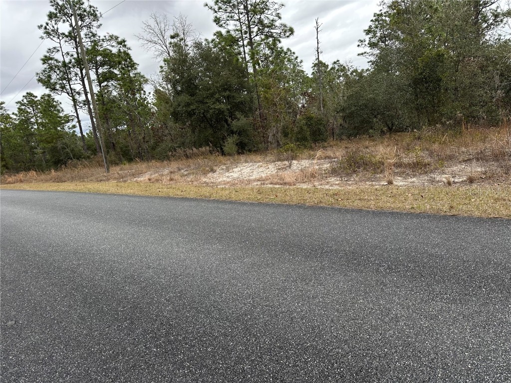 Sw Obee Ridge Rd Dunnellon FL 34431 OM693315 image8