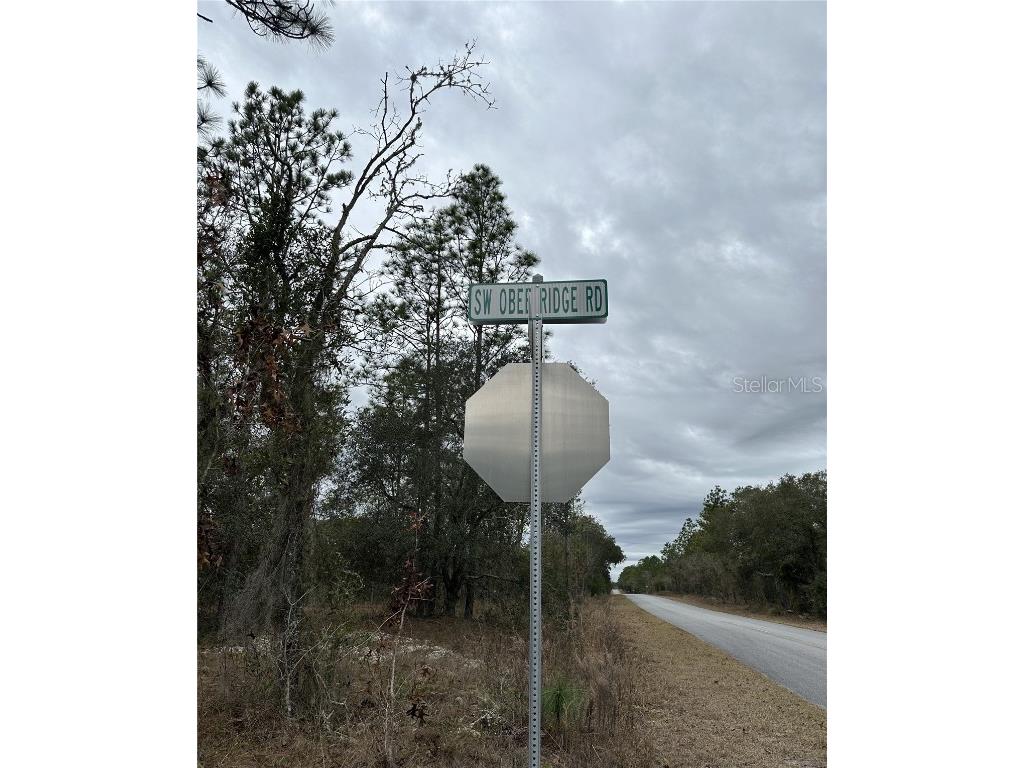 Sw Obee Ridge Rd Dunnellon FL 34431 OM693315 image9