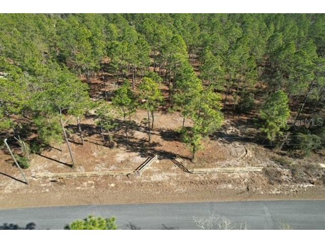 SW Obee Ridge Road Dunnellon FL 34431 G5107529 image3