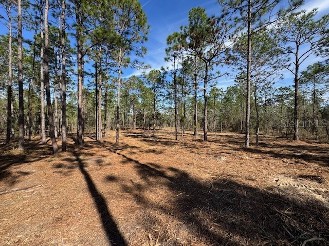 SW Obee Ridge Road Dunnellon FL 34431 G5107529 image6