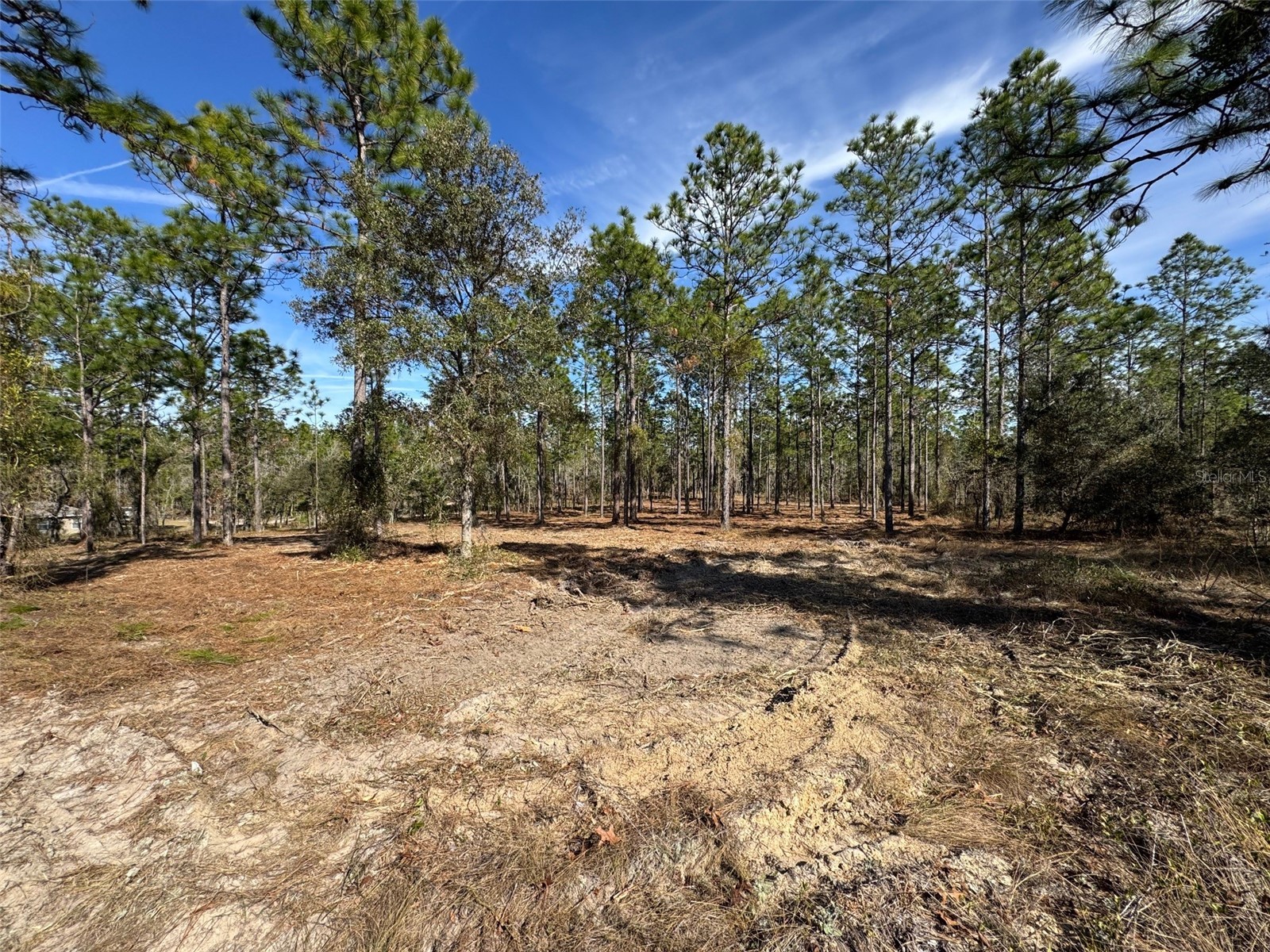 SW Obee Ridge Road Dunnellon FL 34431 G5107529 image7