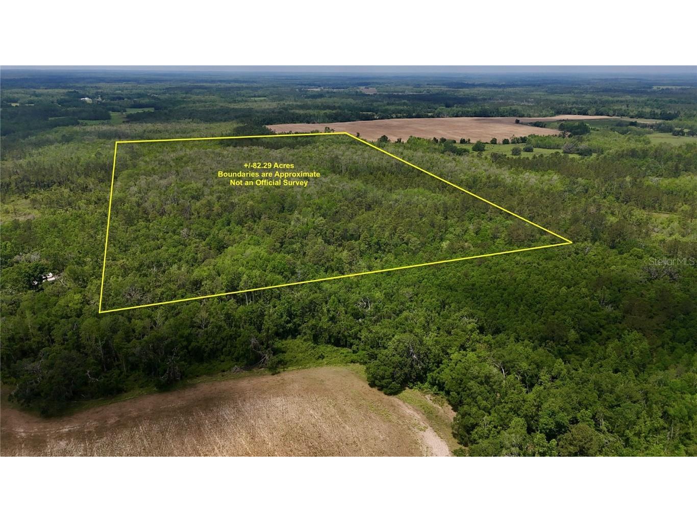 SW Oviedo Trail Greenville FL 32331 OM700152 image1