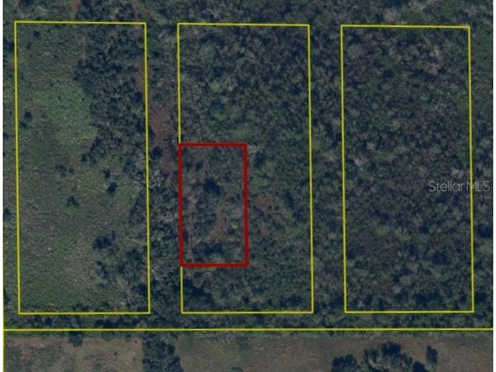 Sw Pablo Avenue Arcadia FL 34266 C7526884 image1