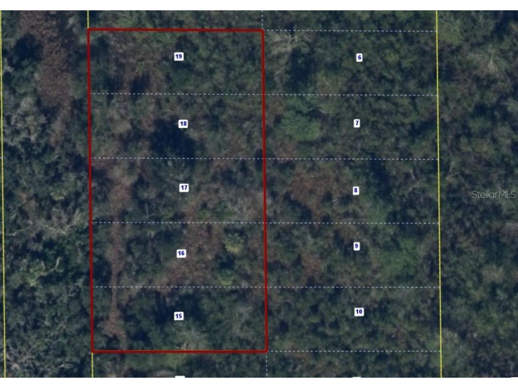 Sw Pablo Avenue Arcadia FL 34266 C7526884 image2