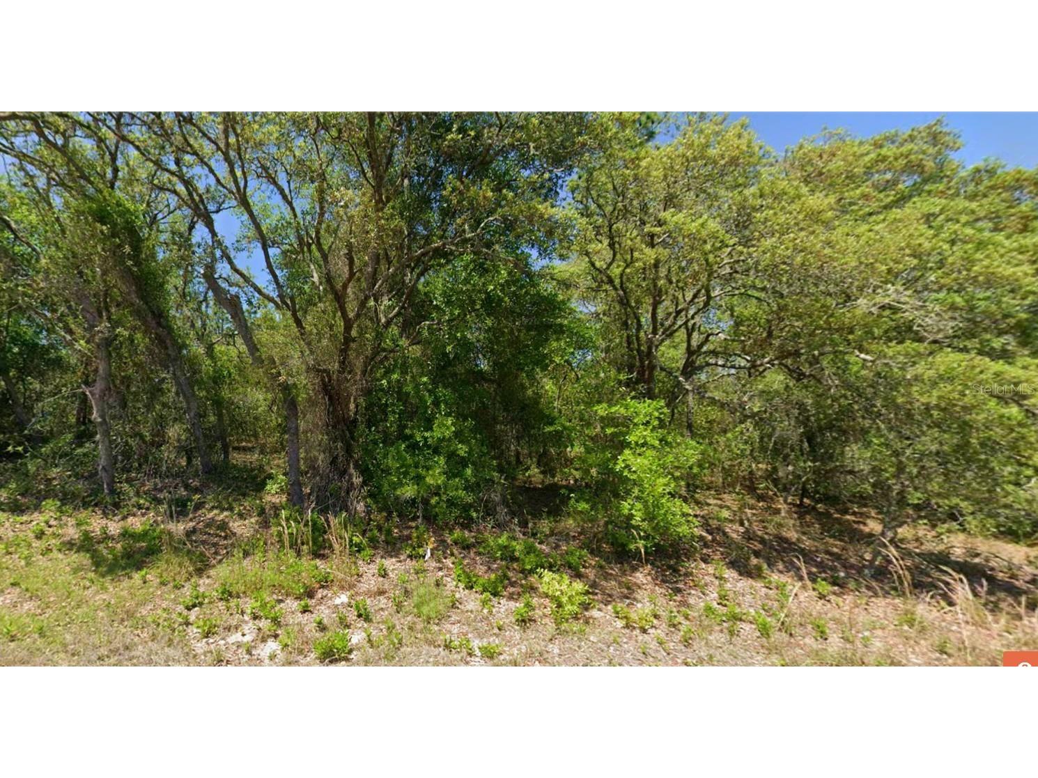 SW Papaya Lane Dunnellon FL 34431 OM729188 image1