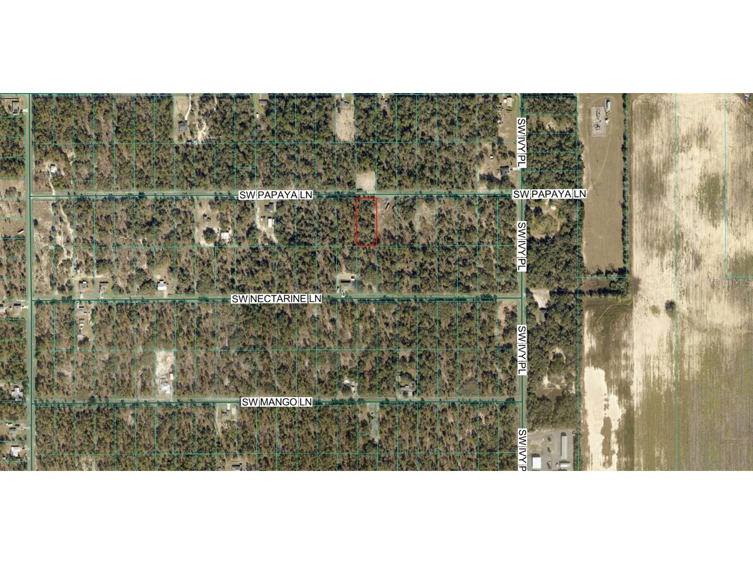 SW Papaya Lane Dunnellon FL 34431 OM729188 image3