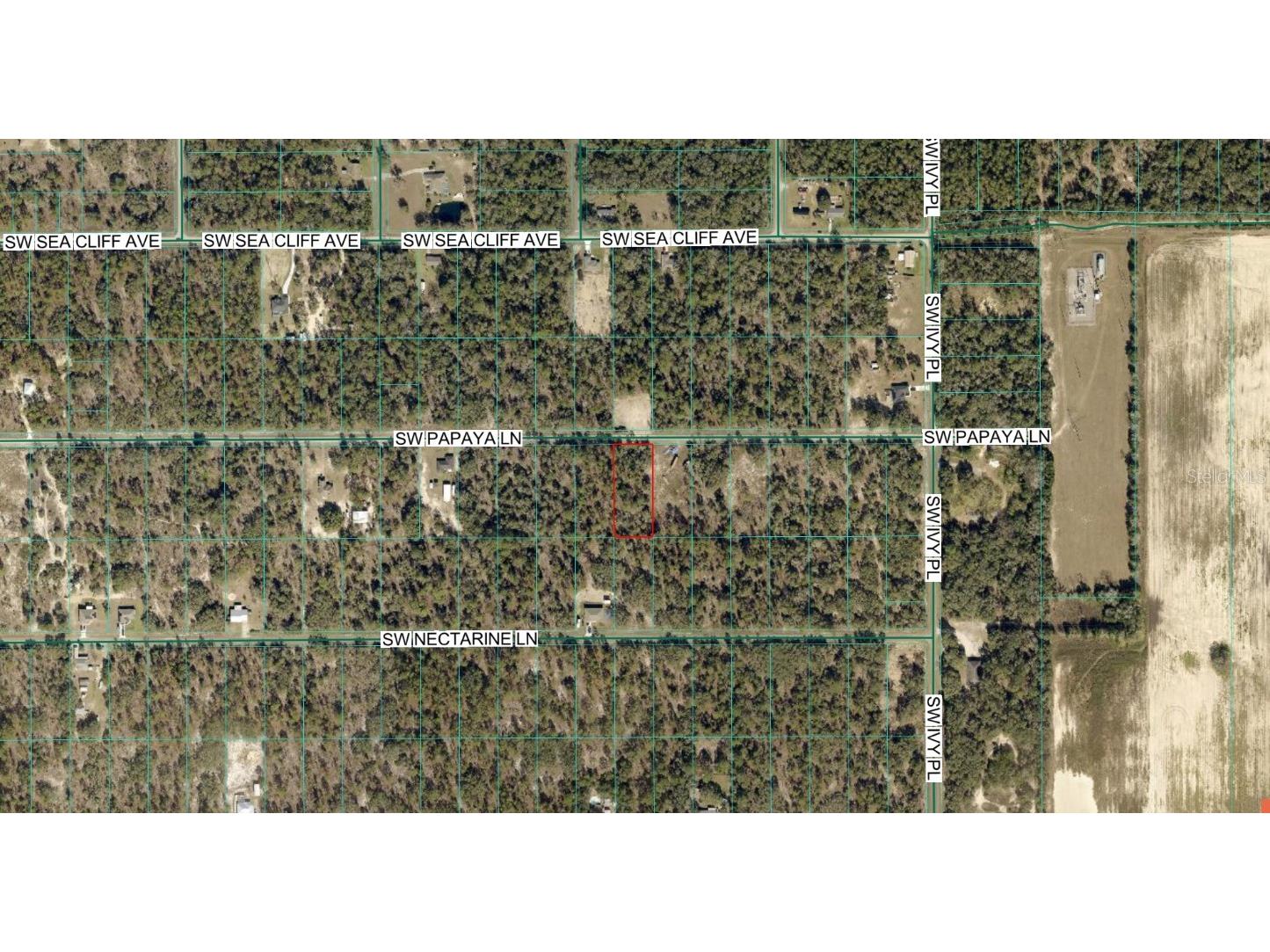 SW Papaya Lane Dunnellon FL 34431 OM729188 image4