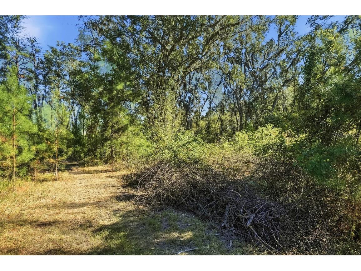 Sw Paradise Way Sw Greenville FL 32331 TB8442555 image1