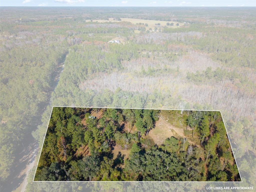 Sw Paradise Way Sw Greenville FL 32331 TB8442555 image10