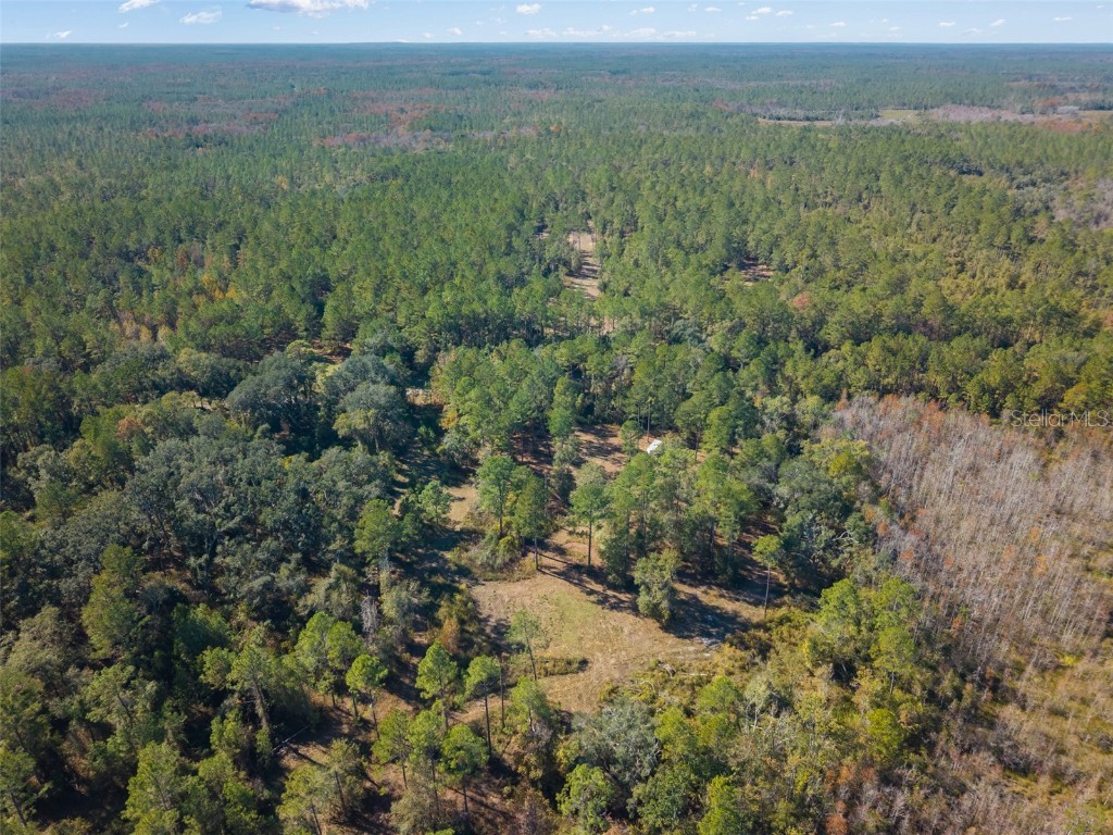 Sw Paradise Way Sw Greenville FL 32331 TB8442555 image11