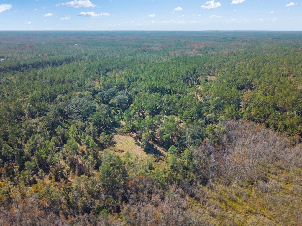 Sw Paradise Way Sw Greenville FL 32331 TB8442555 image12